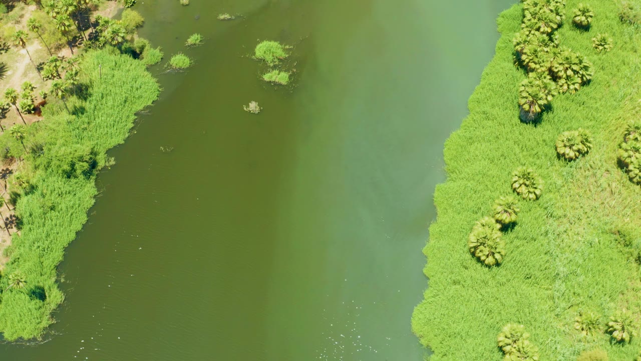 Overhead frame in San Jose Del Cabo Estuary with a rounded vegetated bank extending into green river water and no visible people.