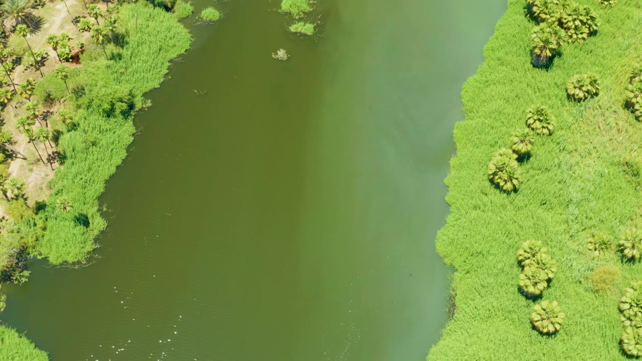 Aerial frame over San Jose Del Cabo Estuary showing a narrow strip of dense vegetation between calm green water areas, no visible people.