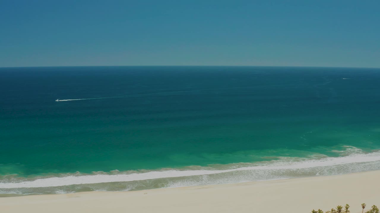 Wide ocean and beach view with palm tops entering foreground.