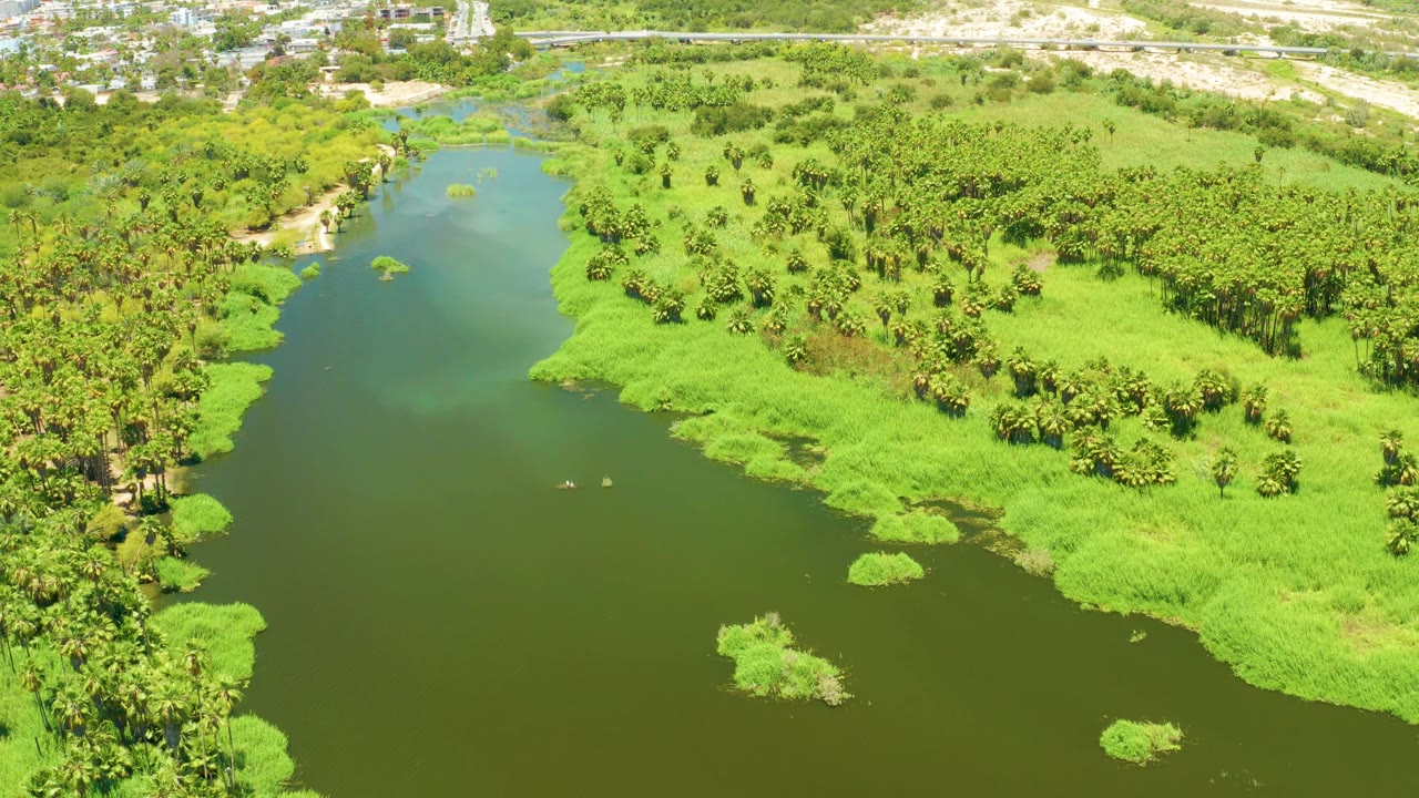 The San Jose Del Cabo Estuary appears from above with open green water in the foreground, a bright grass peninsula on the right, palms beyond it, sandy terrain near the top, and no visible people.