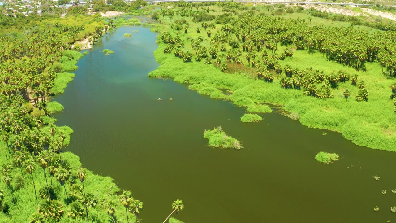 Wide aerial view of a calm river beside bright green marsh and palm trees.