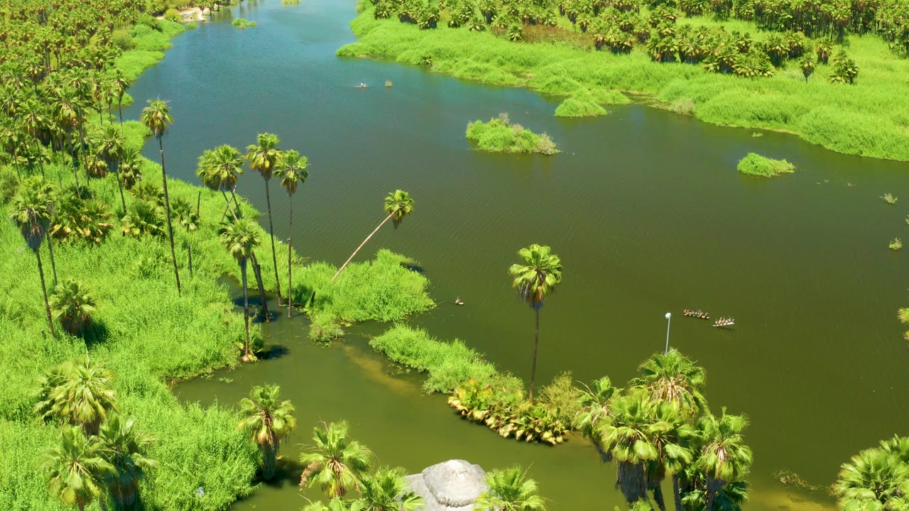 Aerial frame of the San Jose Del Cabo Estuary showing green-brown water around bright grass islands and tall palms, with no visible people.