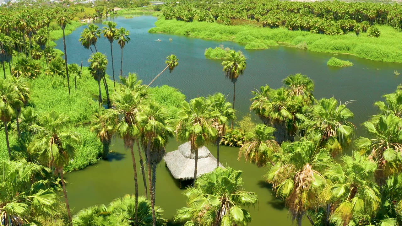 Palm canopy and green water channel viewed from above with a thatched structure below center.