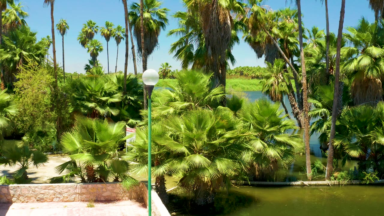 The camera view has moved lower over a San Jose Del Cabo Estuary park path, showing a green lamp, brick paving, palms, pond water, and no visible people.