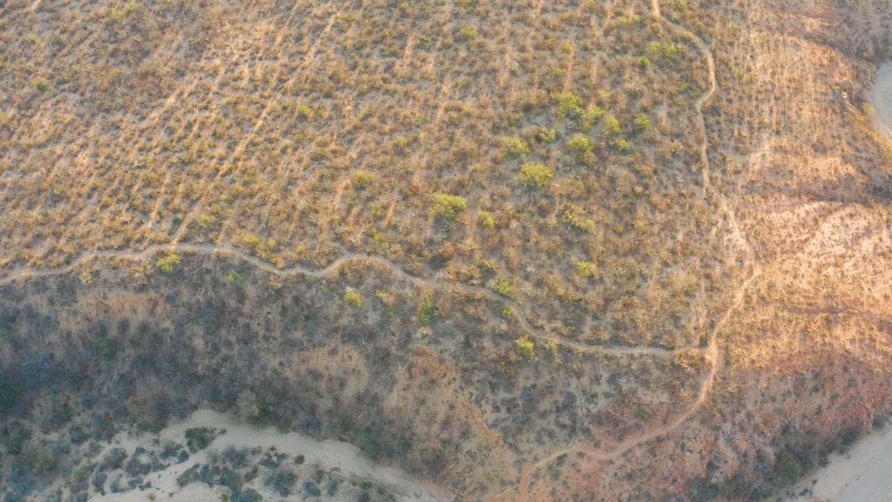 Overhead dry grassland with shrubs, sandy wash, and narrow paths.