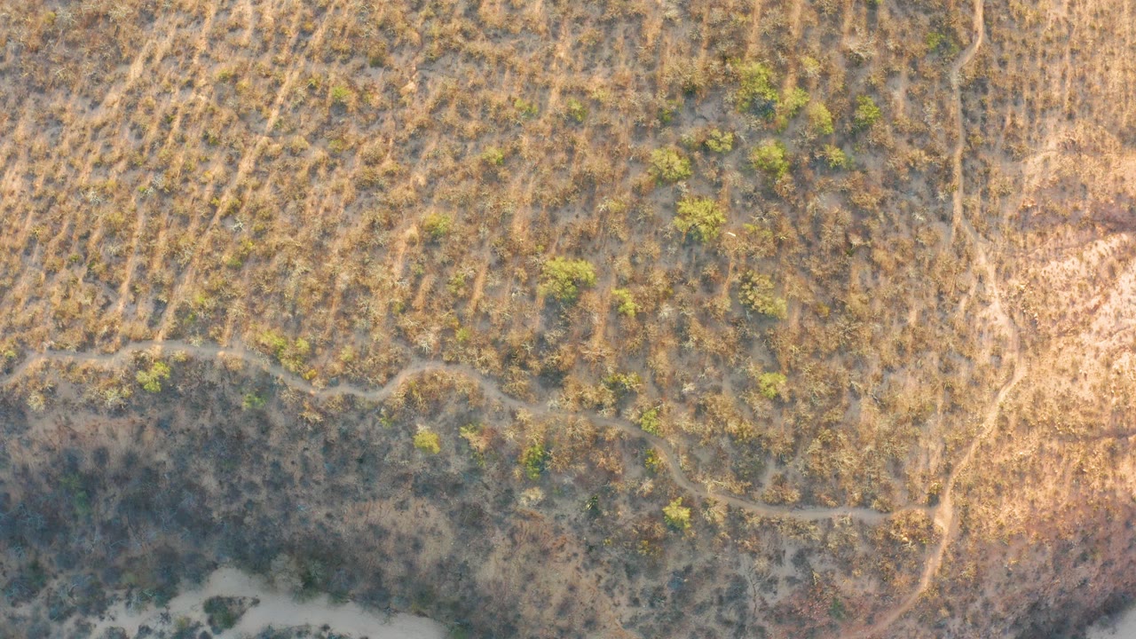 Brown grassland overhead with green shrubs and sandy patch