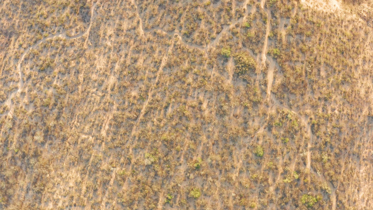 Overhead channel pattern with a lighter sandy patch near the right edge.