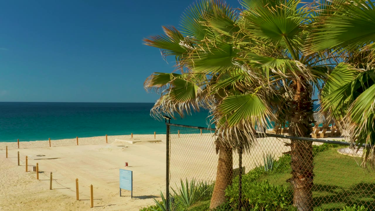 Hilton Los Cabos beach view with palms filling the right foreground, a small beach sign on the sand, wooden posts near the shore, turquoise water, and no visible people.