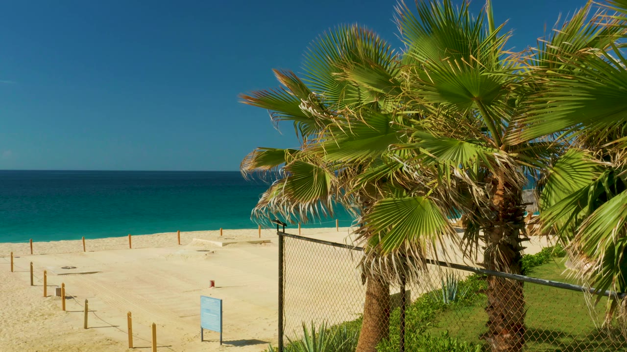 Hilton Los Cabos beach with a dense palm cluster at right, fenced greenery below, open sand with posts, deep turquoise ocean, clear sky, and no visible people.