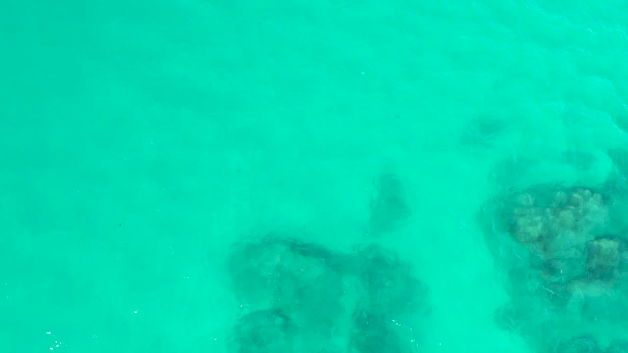 At Hilton Los Cabos in Mexico, a taller submerged rock or coral patch sits near the center under bright turquoise water, with no visible people.