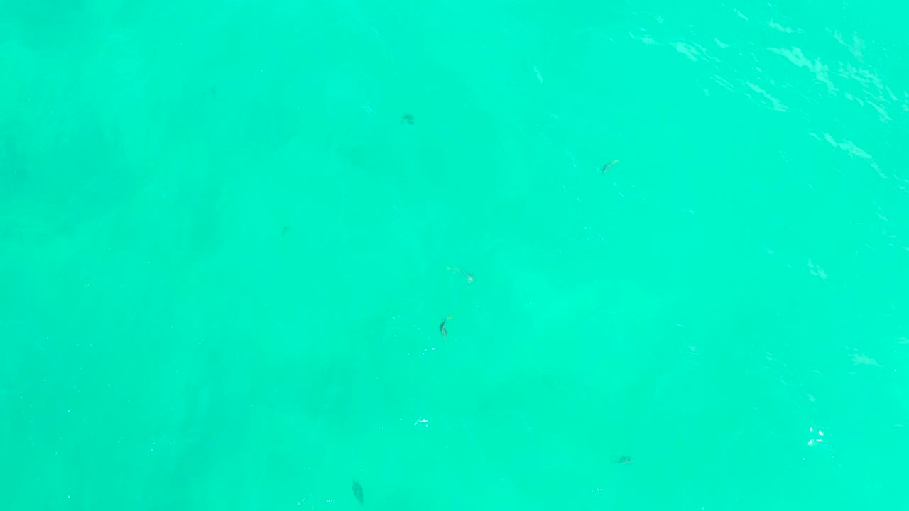 Clear turquoise water with tiny fish and surface ripples.