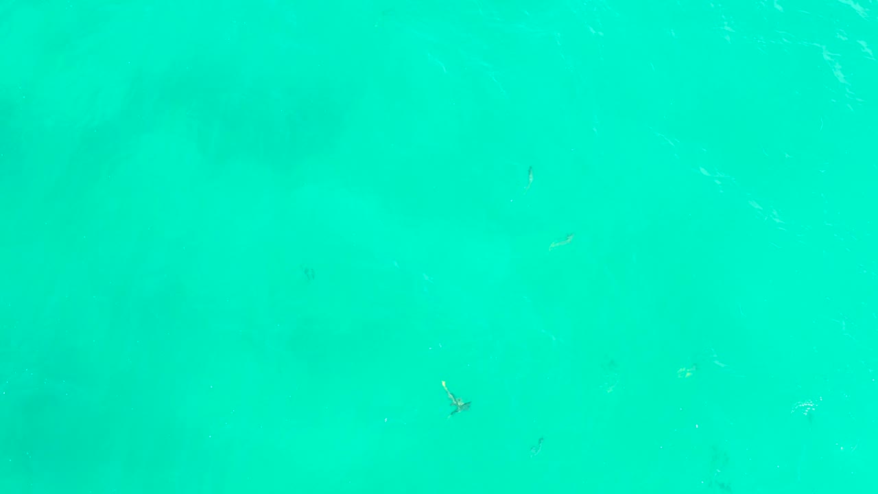 Turquoise water with small fish and faint ripples