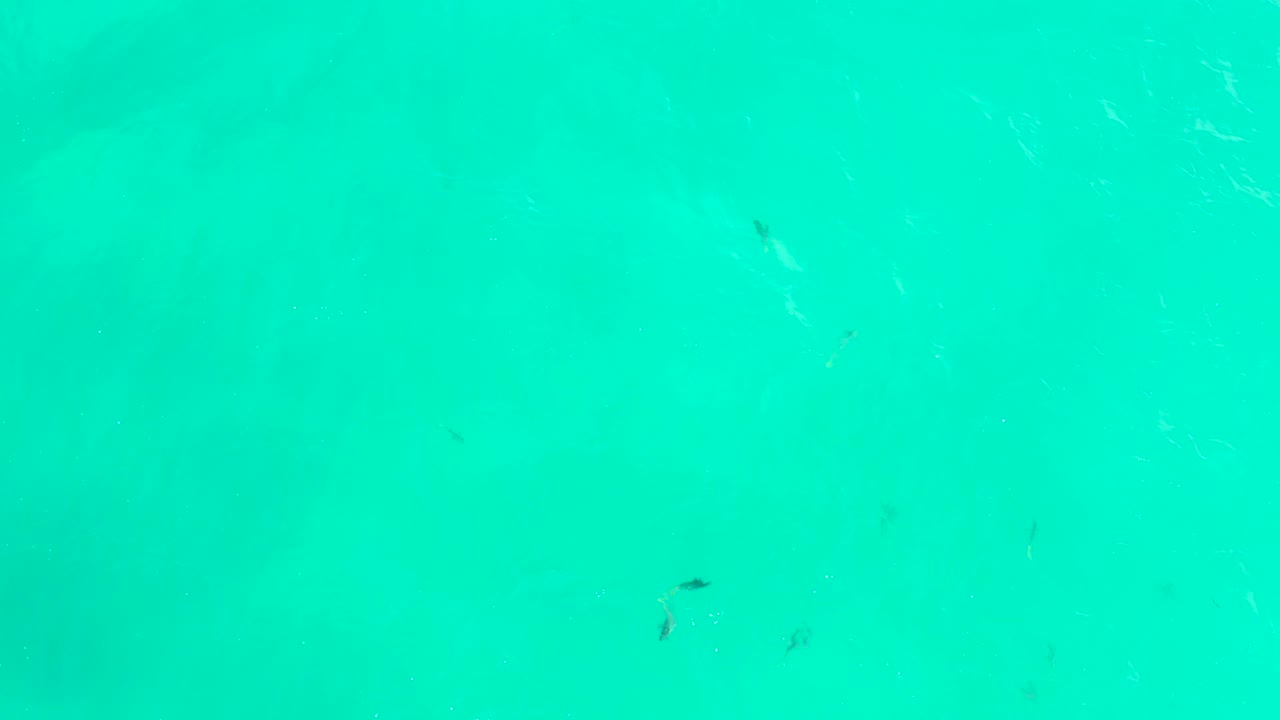 Overhead turquoise ocean water at Hilton Los Cabos, Mexico, includes tiny fish marks across the frame and pale surface streaks, with no visible people.