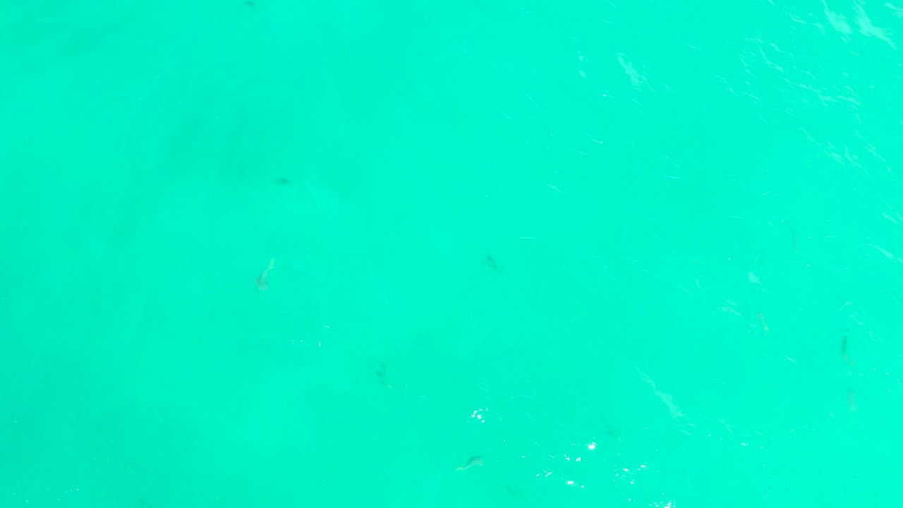 Turquoise water with small dark fish and faint surface ripples.