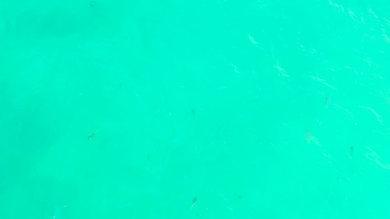 At Hilton Los Cabos in Mexico, pale ripple streaks cross turquoise water while small fish shapes remain visible under the surface and no people appear.