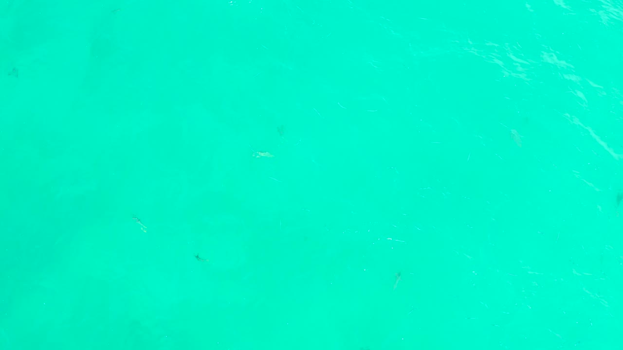 Clear turquoise water with small dark fish and faint ripples.