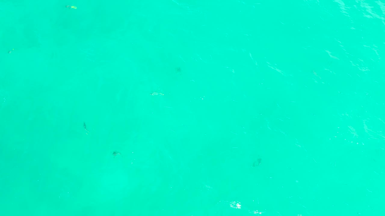 Tiny fish are visible against blue-green water at Hilton Los Cabos, Mexico, with pale submerged color shifts and no visible people.