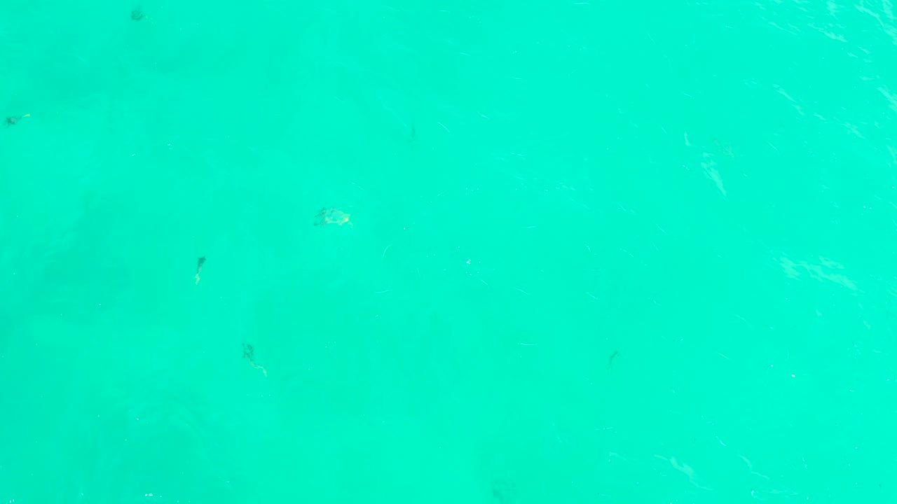 Small fish remain visible in clear turquoise water at Hilton Los Cabos, Mexico, with light ripple marks across the surface and no visible people.