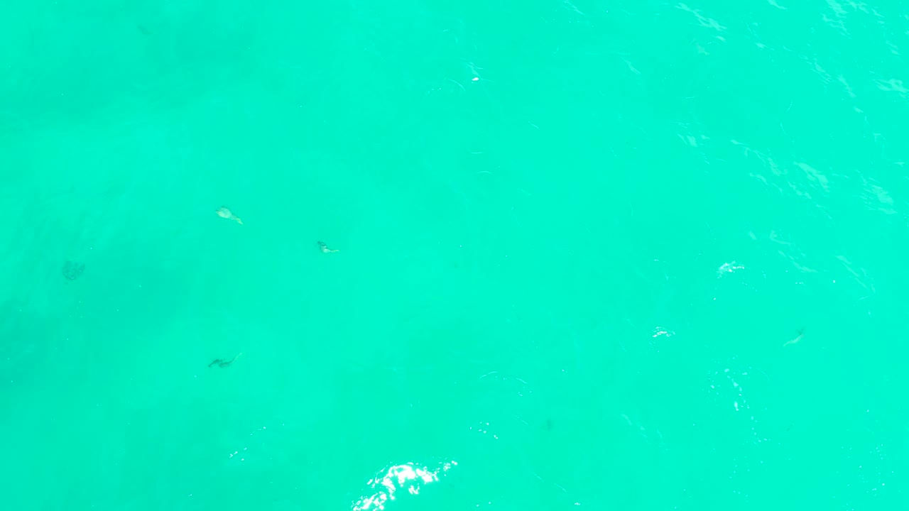 Turquoise ocean water with small fish below the surface