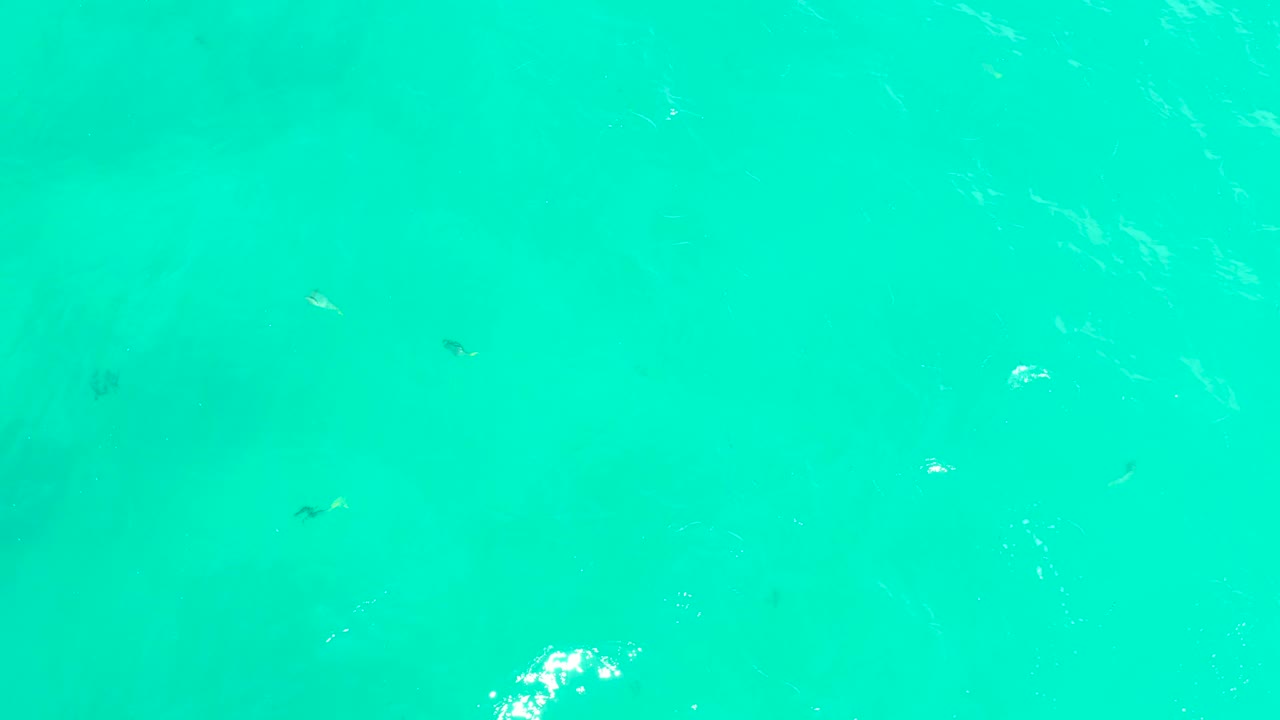 A bright white foam patch appears lower in the clear Hilton Los Cabos water while small fish remain visible as dark shapes below the surface and no people appear.