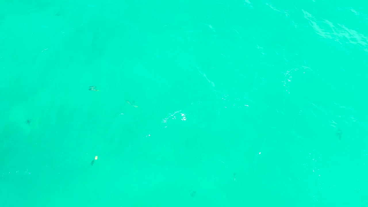 The water appears evenly blue-green at Hilton Los Cabos, with faint small fish, light surface ripples, and no visible people in the overhead frame.