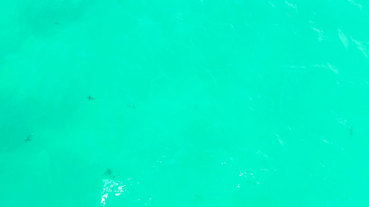 Scattered small fish sit below turquoise water at Hilton Los Cabos while thin white surface streaks and bubbles cross the frame, with no visible people.