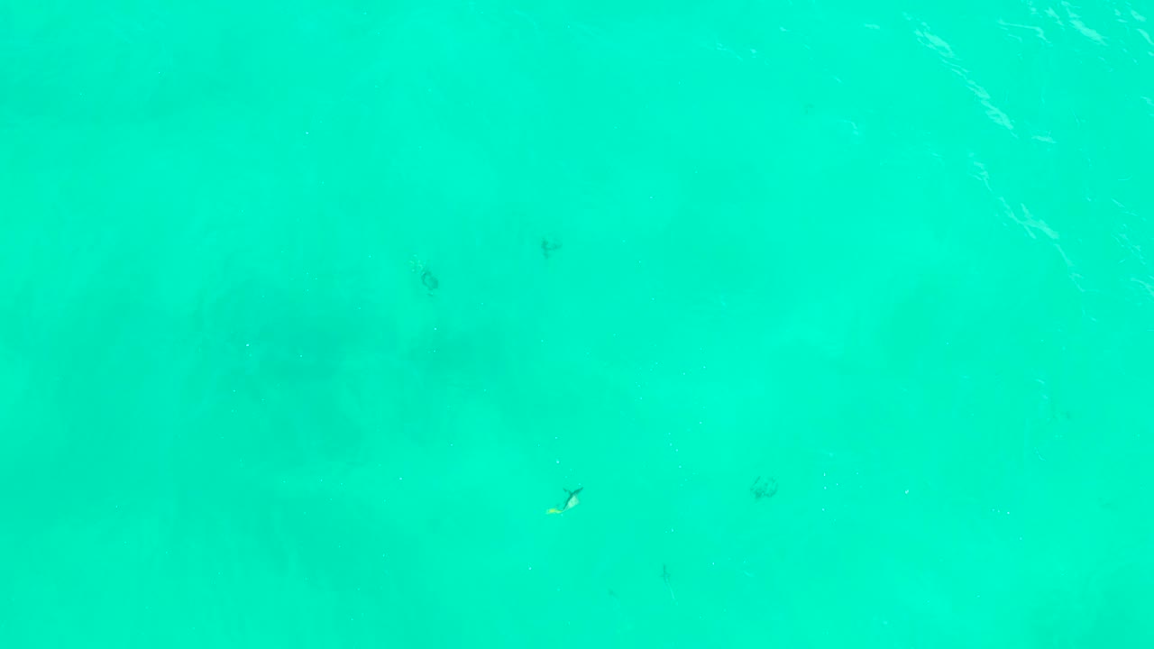 Turquoise ocean water with small dark fish below the surface.