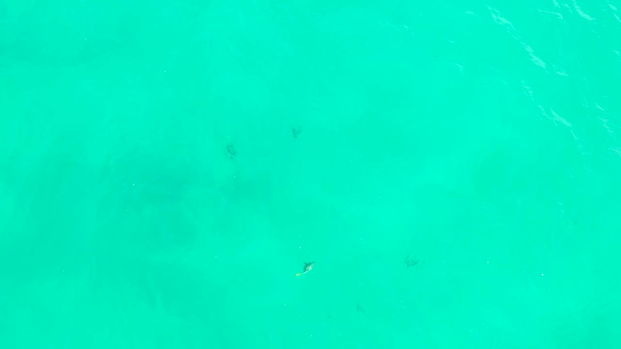 Clear turquoise water at Hilton Los Cabos in Mexico fills the frame, with several tiny fish marks under faint surface ripples and no visible people.