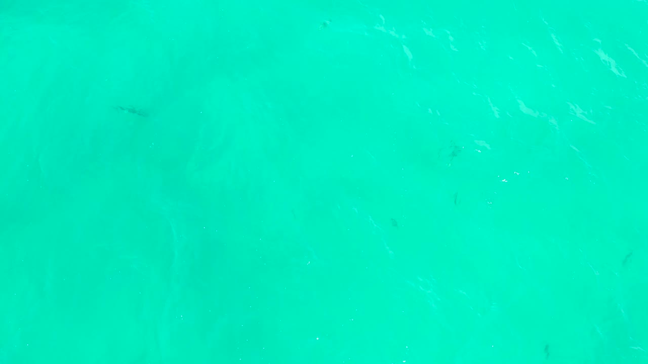 Start of the Hilton Los Cabos clip showing clear turquoise ocean water, faint sandy bottom, small dark fish shapes, surface ripples, and no visible people.