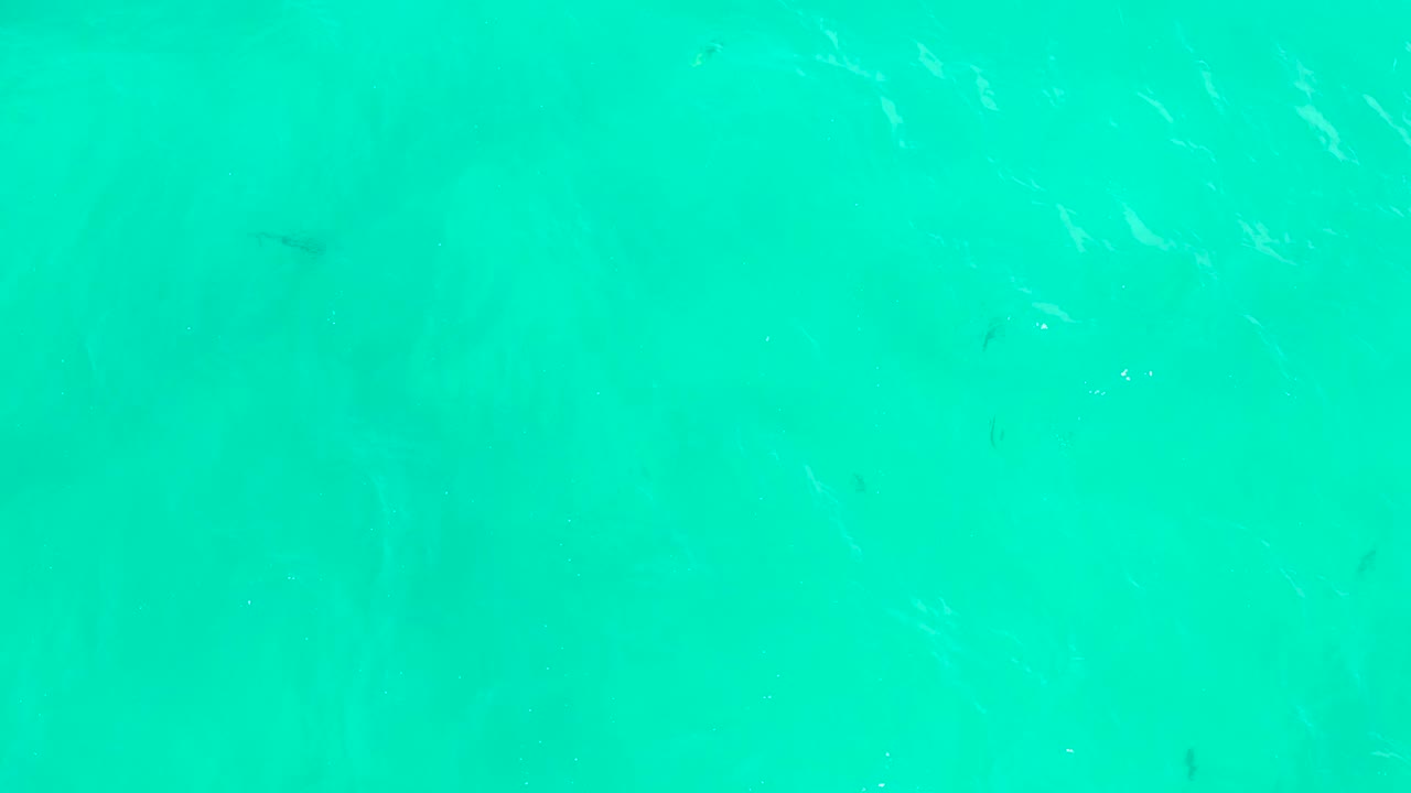 One second into the Hilton Los Cabos footage, small fish are visible in bright turquoise water with pale sand below and no visible people.
