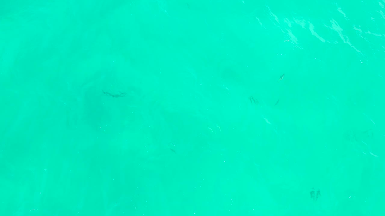 Midway through the clip, the Hilton Los Cabos water remains bright turquoise with faint fish shapes, visible sand beneath, and no visible people.