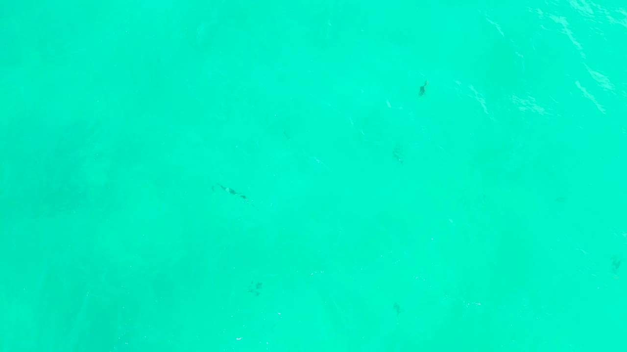Turquoise water with small dark fish and faint seabed shapes.