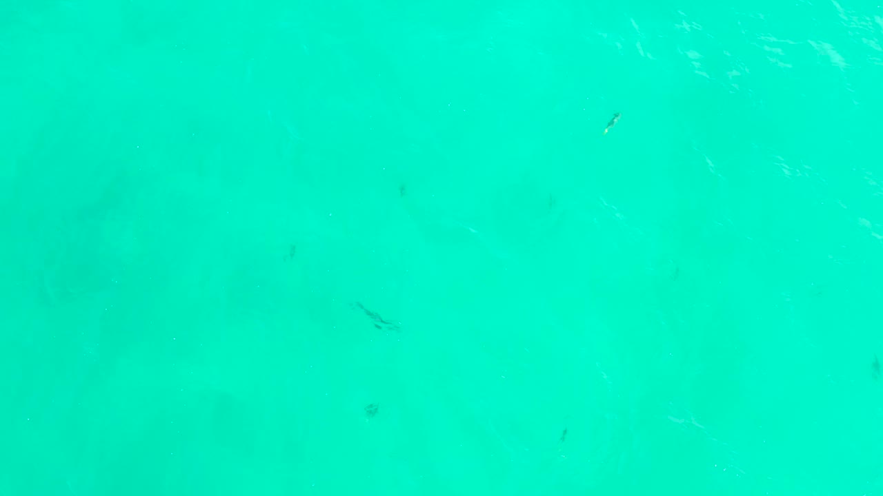 Bright turquoise ocean water near Hilton Los Cabos contains small dark fish, faint green-blue seabed shading, soft highlight streaks, and no visible people.