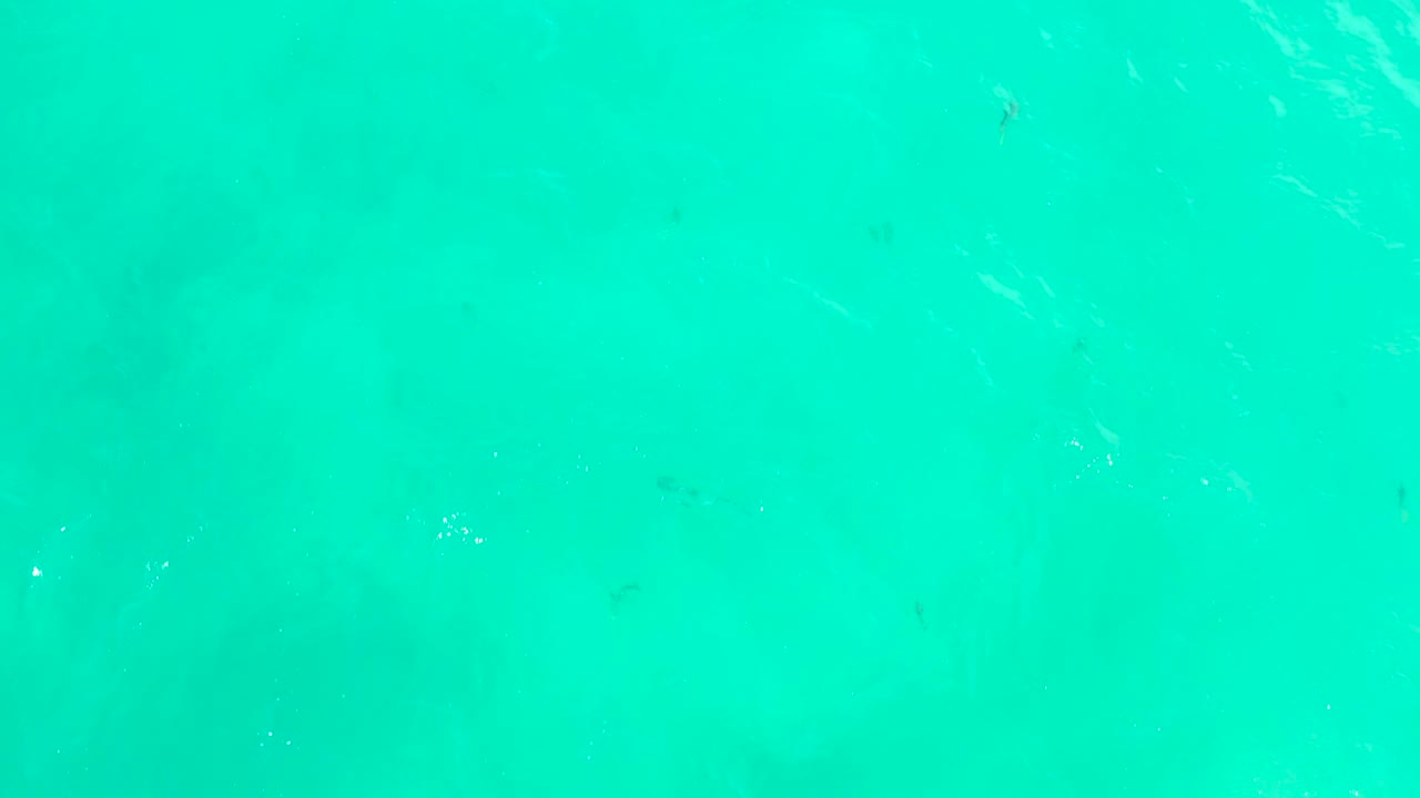 Turquoise water near Hilton Los Cabos shows small fish under the surface, diagonal ripple highlights, faint seabed tones, and no visible people.