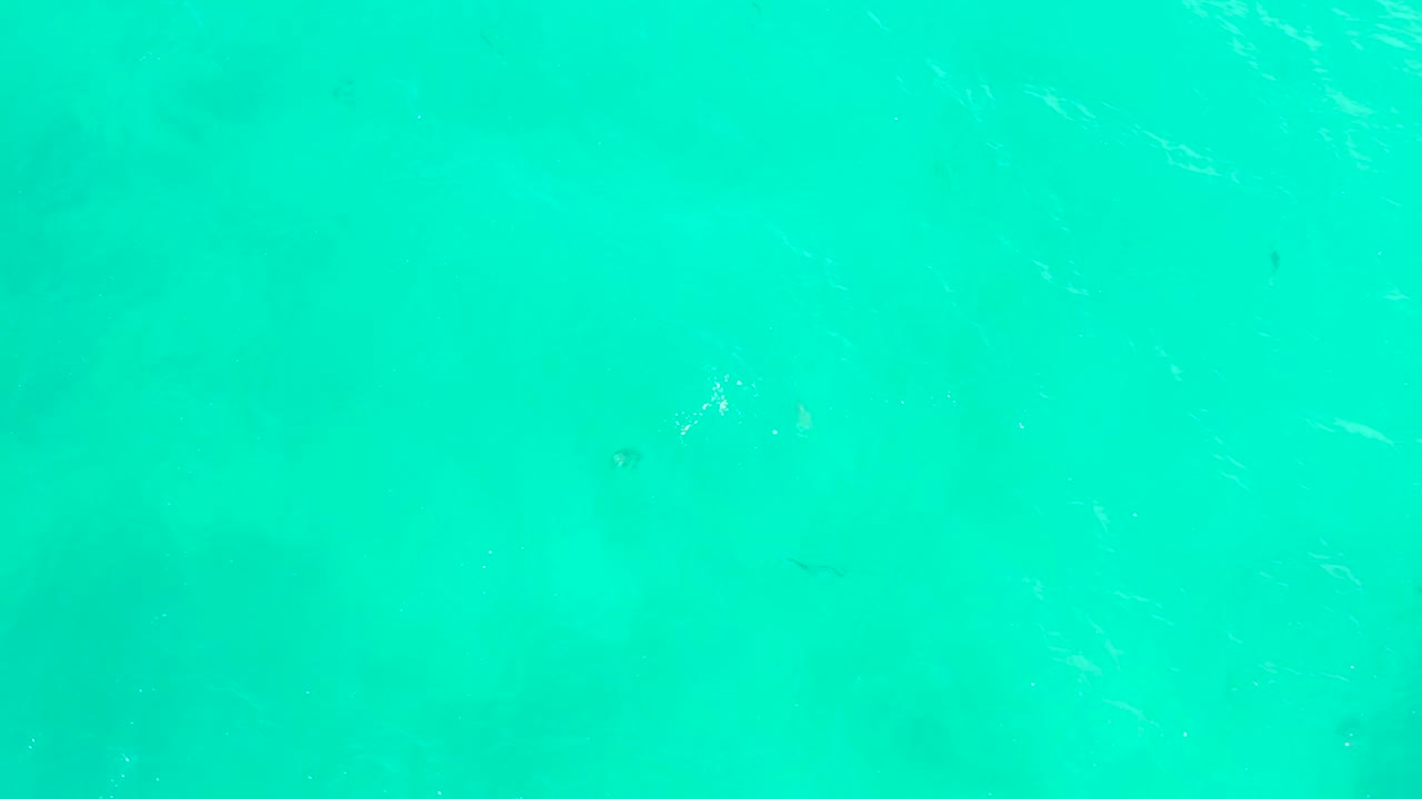 Clear blue-green ocean water at Hilton Los Cabos shows faint ripples and scattered small fish below the surface with no visible people.