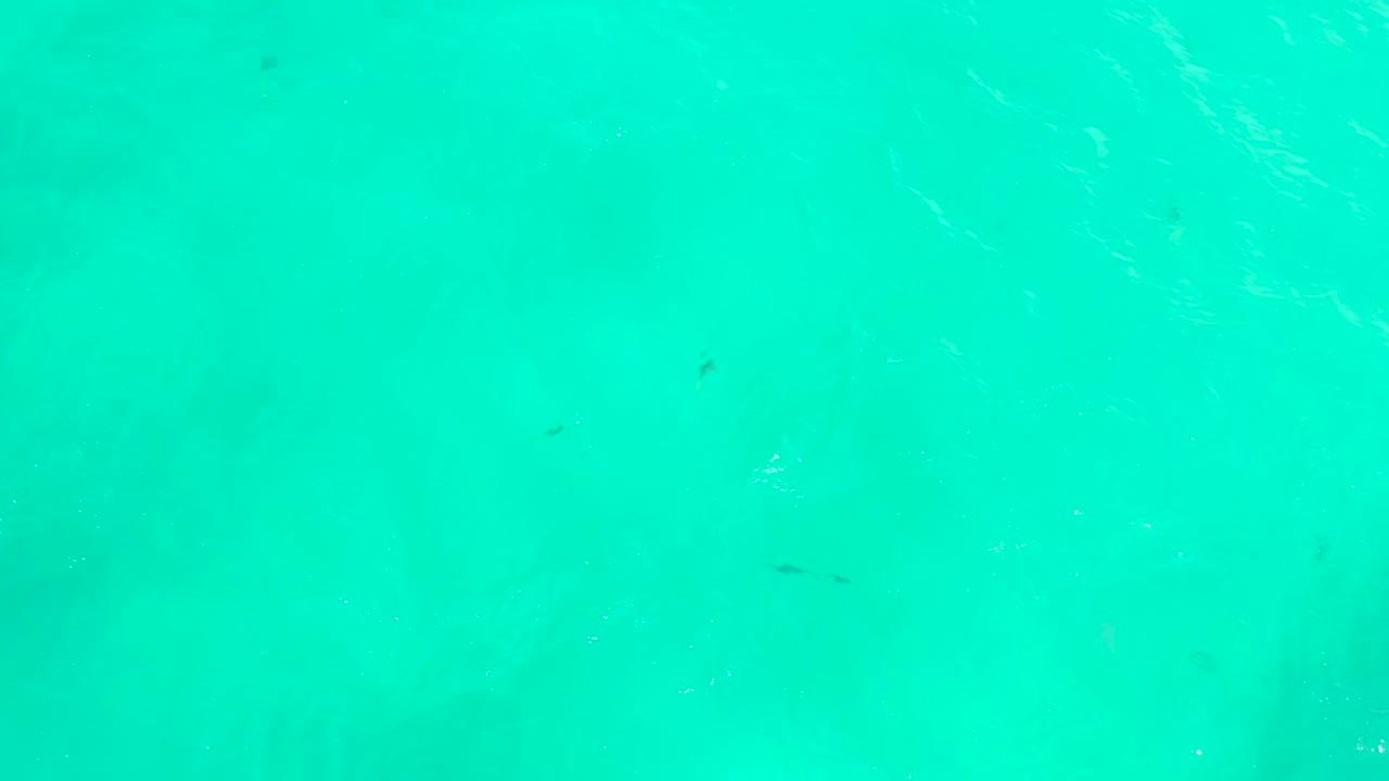 Turquoise sea surface at Hilton Los Cabos contains thin white ripple lines and a few small fish shapes under the water, with no visible people.