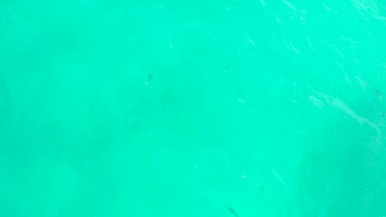 Overhead view of clear turquoise water at Hilton Los Cabos, Mexico, with a faint dark stingray shape beneath the surface and no visible people.