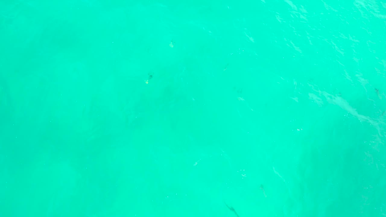 A darker stingray form sits under the turquoise surface at Hilton Los Cabos, Mexico, with thin white ripple lines and no visible people.