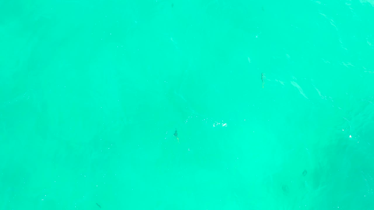 Overhead view of clear turquoise water at Hilton Los Cabos, Mexico, with small dark fish scattered beneath faint surface ripples and no visible people.
