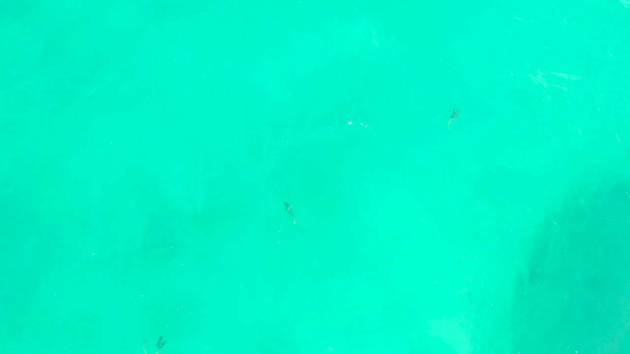 Clear water with small fish and soft wave texture
