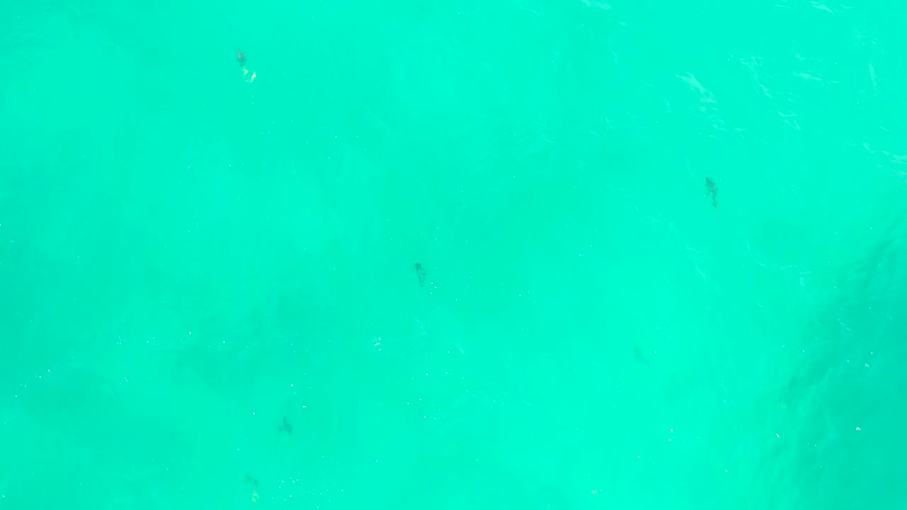 Bright turquoise ocean water at Hilton Los Cabos, Mexico with small fish scattered near the surface, faint white foam marks, and no visible people.