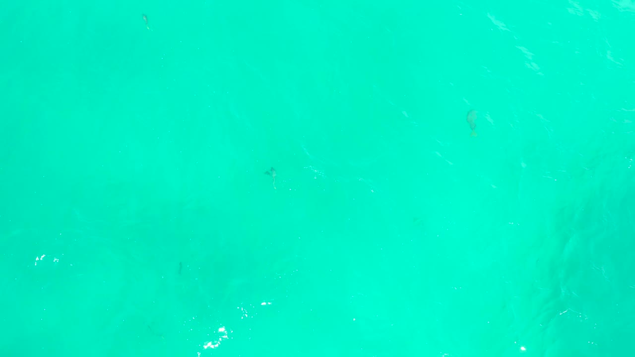 Blue-green ocean water at Hilton Los Cabos, Mexico with faint surface texture, tiny fish marks, and no visible people or shoreline.