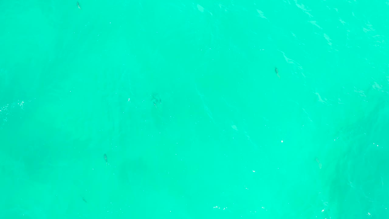 Turquoise ocean surface with pale foam streaks and fish specks.