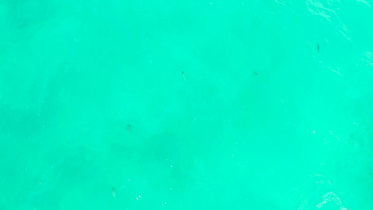 Turquoise ocean water with small fish below the surface