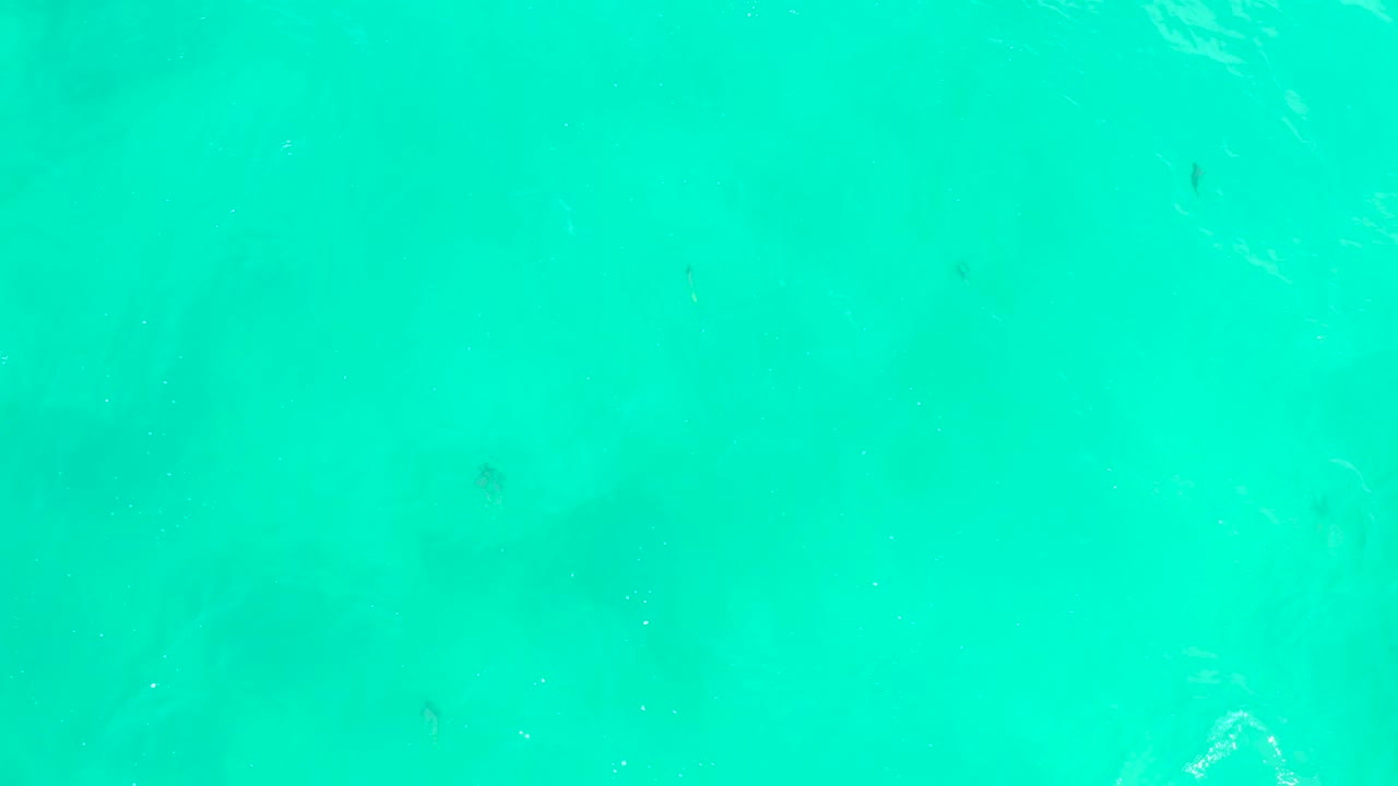Small fish appear as dark marks in the transparent turquoise water near Hilton Los Cabos, Mexico, with soft surface texture and no visible people.