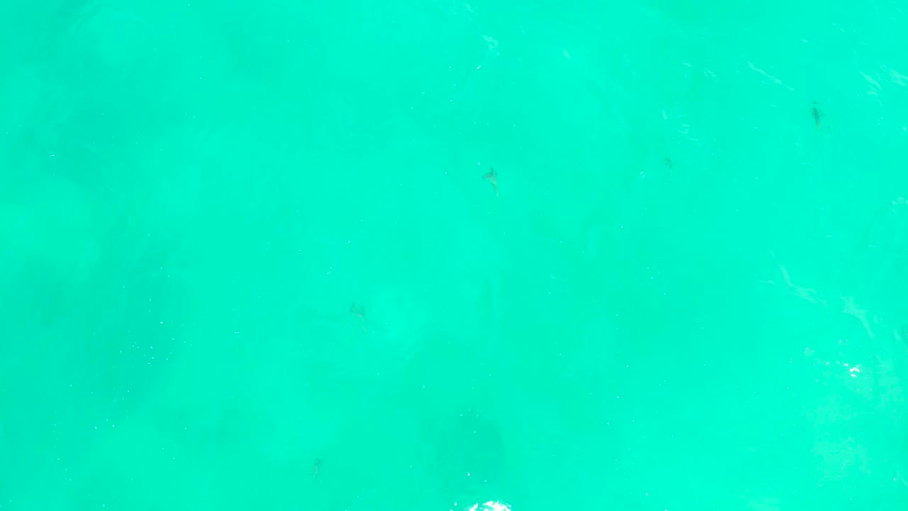 Blue-green ocean water at Hilton Los Cabos, Mexico, shows small fish under the surface with a bright white foam patch near the lower edge and no visible people.