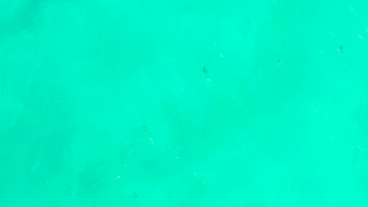 Turquoise ocean water fills the frame at Hilton Los Cabos, Mexico, with faint fish shapes below light ripples and no visible people.