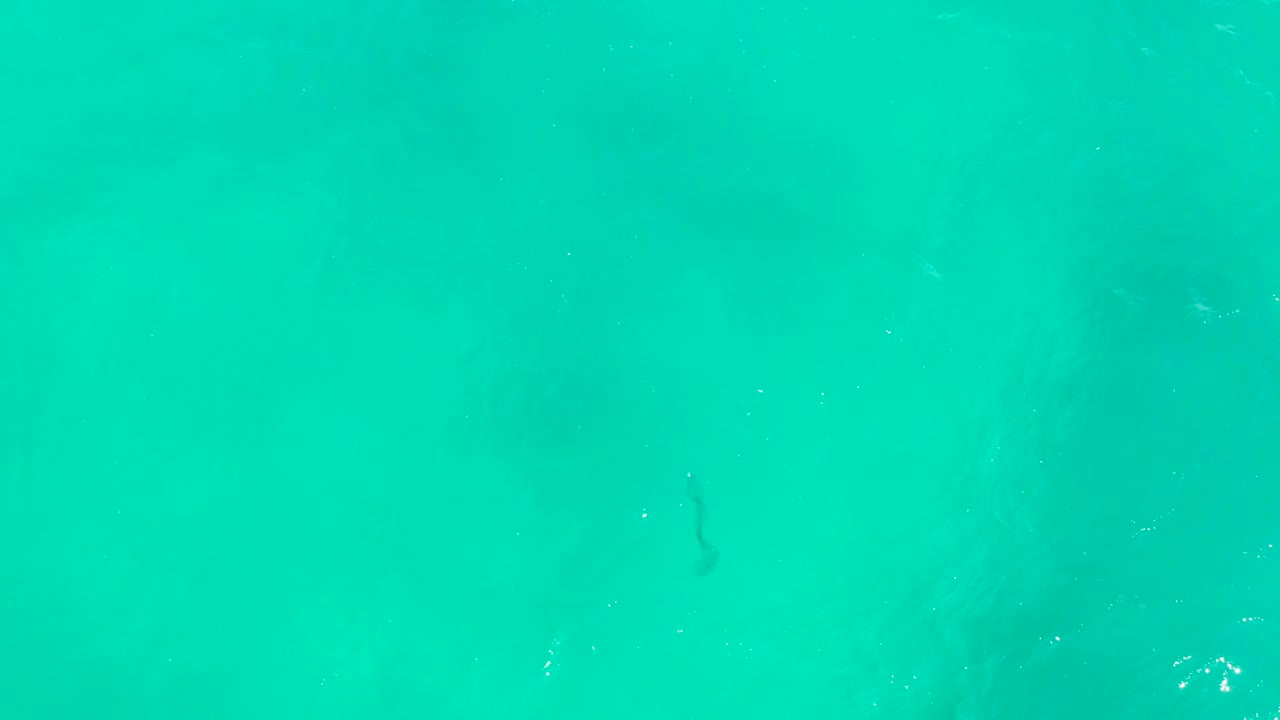 Overhead turquoise ocean water at Hilton Los Cabos, Mexico, with a faint dark snorkeler-like shape near the center and no recognizable people visible.