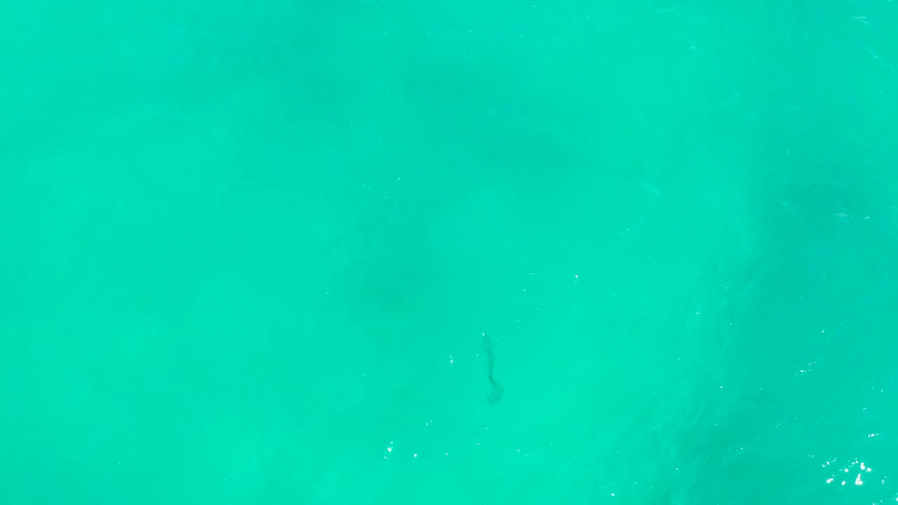 Clear turquoise ocean surface at Hilton Los Cabos, Mexico, with small white glints and a barely visible dark form below the water, no recognizable people visible.