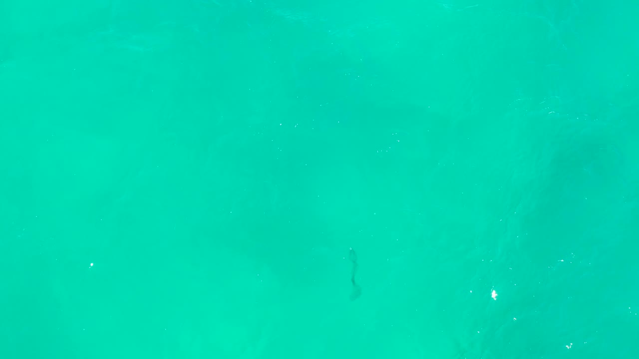 Overhead view of turquoise sea at Hilton Los Cabos, Mexico, with faint rippling texture and a small dark mark in the water, no recognizable people visible.